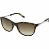 Brighton Meridian Sunglasses