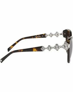 Brighton Alcazar Sunglasses -Brighton Shop 61tpRTljduL. AC SR736920