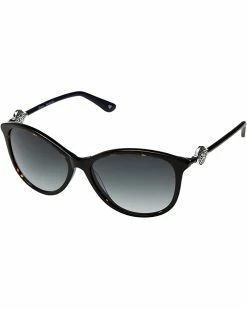 Brighton Ferrara Sunglasses -Brighton Shop 71wBZHmzqL. AC SR736920